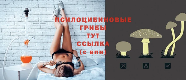 дживик Абинск