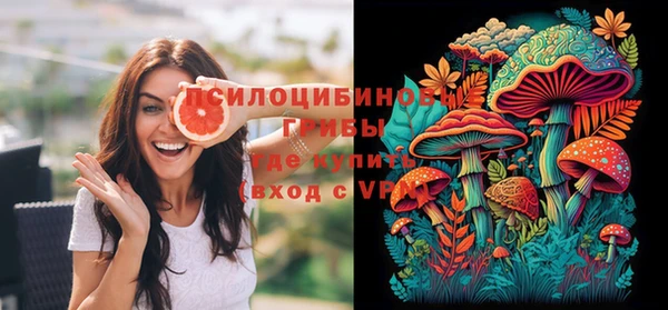 дживик Абинск