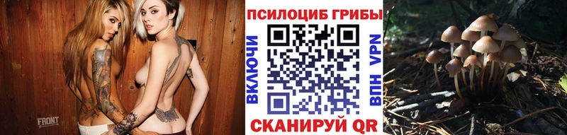 ссылка на мегу онион  Инсар  Псилоцибиновые грибы MAGIC MUSHROOMS  где найти наркотики 